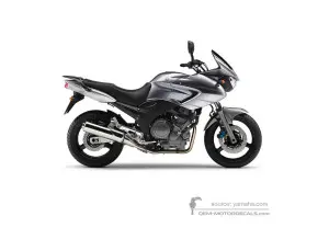 Decals for Yamaha TDM900 2006 - Silver • Yamaha OEM Decals