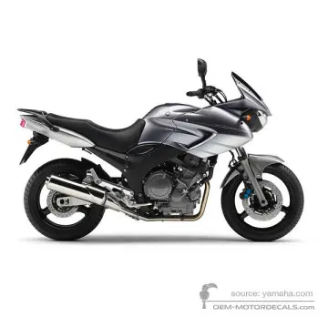 Yamaha TDM900 2006 - Plata - Bluish Silver 4