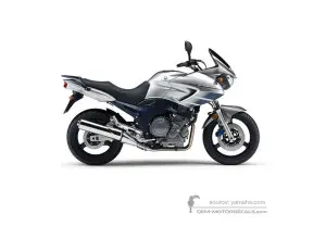 Adesivi per Yamaha TDM900 2008 - Argento • Yamaha Adesivi OEM