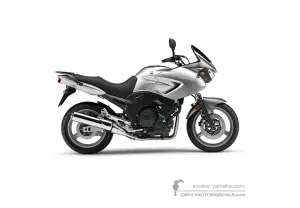 Decals for Yamaha TDM900 2009 - Silver • Yamaha OEM Decals