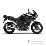 Yamaha TDM900 2010 - Black