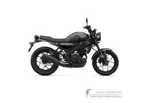 Decals for Yamaha XSR125 2025 - Gray • Yamaha OEM Decals