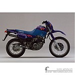Yamaha XT600 1991