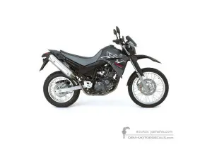 Autocollants pour Yamaha XT660R 2006 - Gris • Yamaha Autocollants OEM