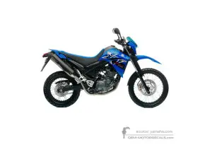 Decals for Yamaha XT660R 2008 - Blue • Yamaha OEM Decals