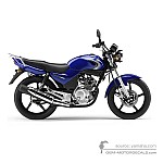 Yamaha YBR125 2007 - Bleu
