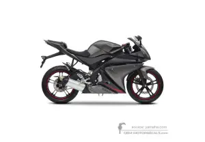 Decals for Yamaha YZF R125 2013 - Gray • Yamaha OEM Decals