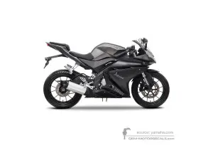 Autocollants pour Yamaha YZF R125 2015 - Gris • Yamaha Autocollants OEM