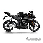 Yamaha YZF R125 2017 - Gray