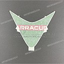 Front cowling decal