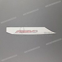 APRILIA Pegatina colin, lado derecho 2H005482
