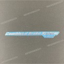 Front fender decal