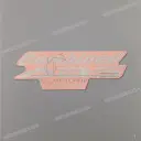 Front fender decal