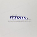 Rear center cowl Repsol emblem