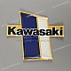 Kawasaki-560271855