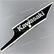 Kawasaki-560481979