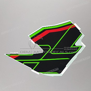 Side cowling decal, left side