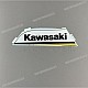 Kawasaki-560772348