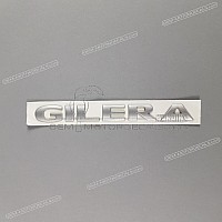 PIAGGIO GROUP Side cowling emblem 655545