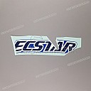 Side cowling GSX-R emblem, left side