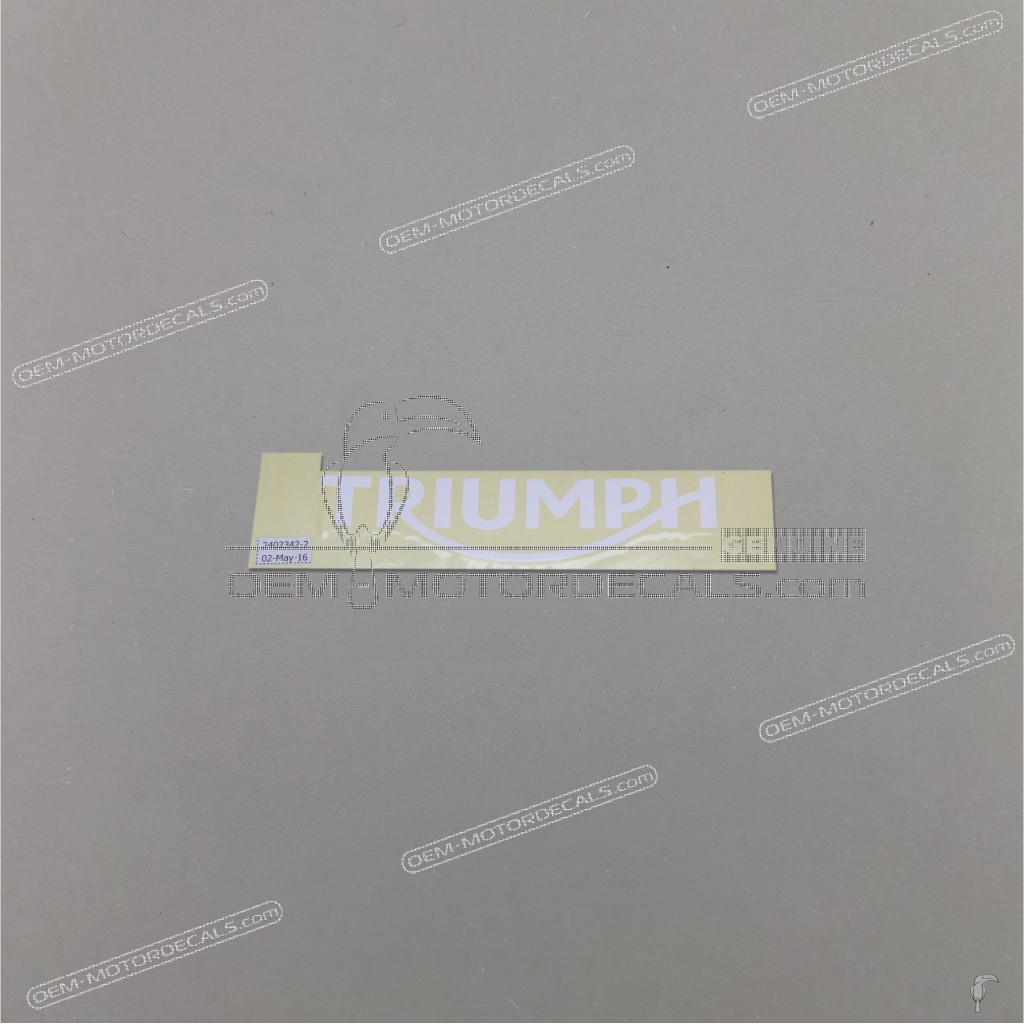 Triumph-T2402342