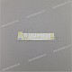 Triumph-T2402342
