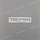 Triumph-T2402624