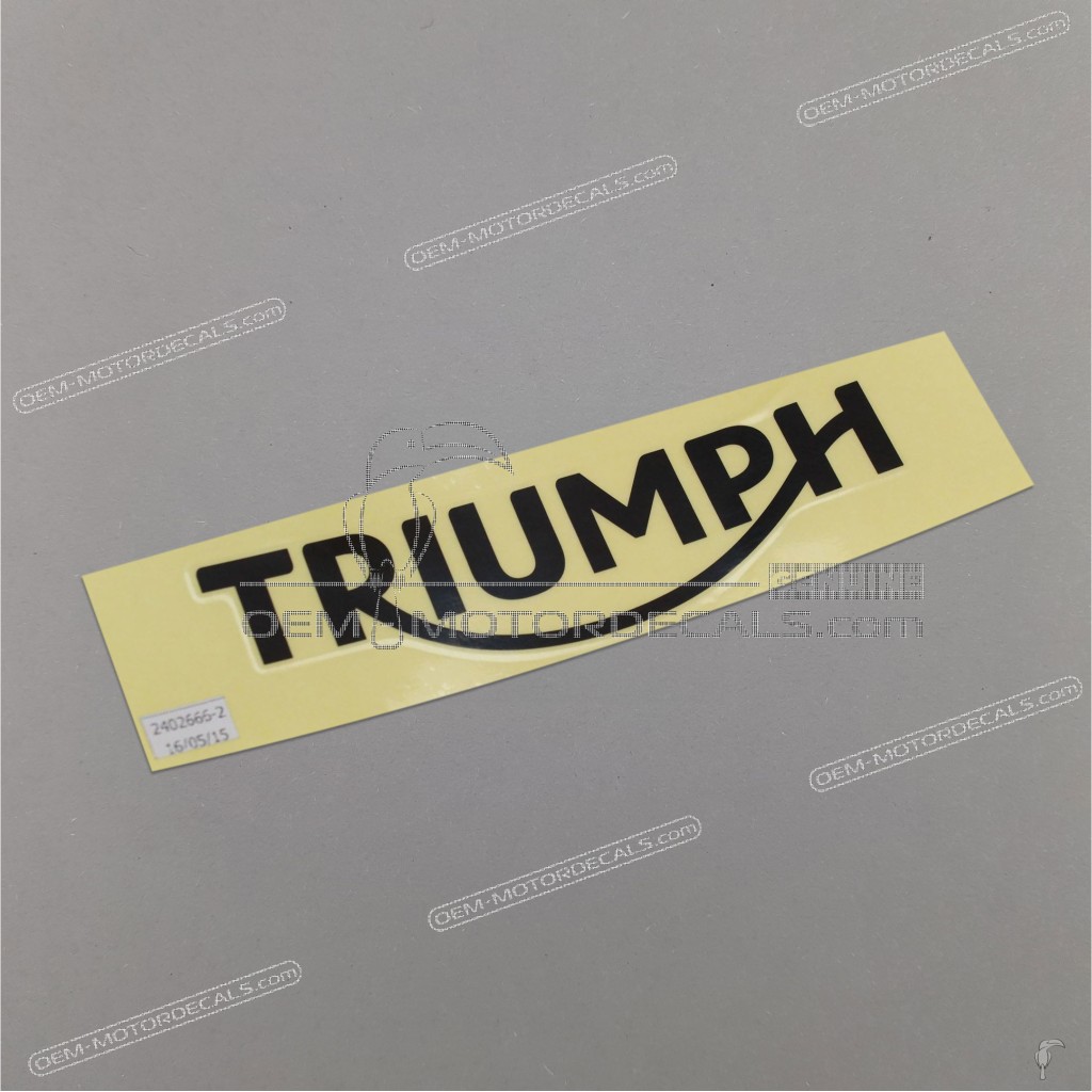 Triumph-T2402666
