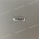 Emblem,decal