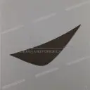 TDR Rechte Verkleidung Emblem, rechte Seite