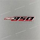 Emblema per fiancata TDM850