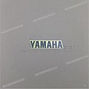 Front fender decal