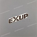 EXUP embleem rechter zijkuip, rechts