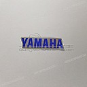 Front fender decal