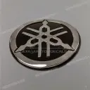  Emblem, right side