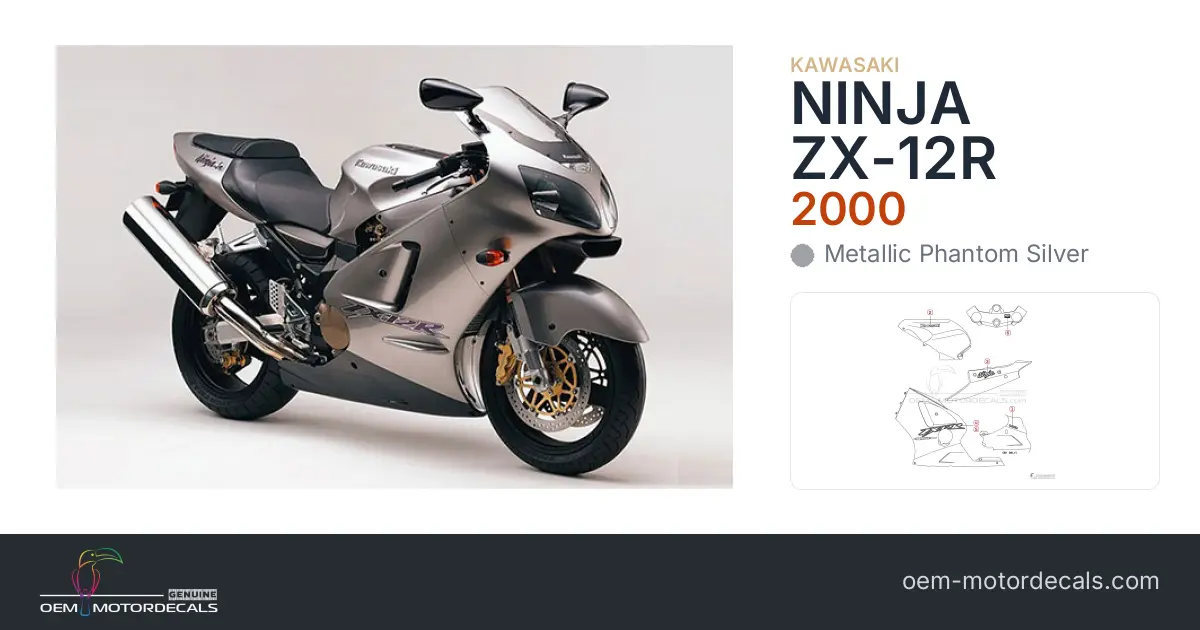 OEM Decals Kawasaki ZX12R 2000 - Silver • Original Stickers