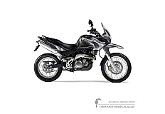 Autocollants pour Aprilia Pegaso 650IE TRAIL 2006 - Gris • Aprilia Autocollants OEM