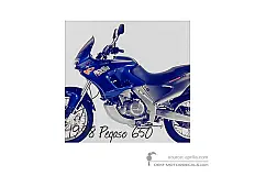 Decals for Aprilia Pegaso 650 1998 - Blue • Aprilia OEM Decals