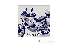 Decals for Aprilia Pegaso 650 1998 - Gray • Aprilia OEM Decals