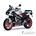 Aprilia RSV TUONO 1000 IE 2005 - Plata