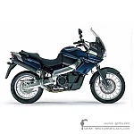 Aprilia ETV 1000 CAPO NORD 2003