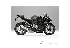 Decals for BMW S1000RR 2010 - Gray • BMW OEM Decals