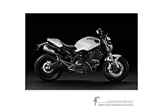 Adesivi per Ducati MONSTER 696 2013 - Bianco • Ducati Adesivi OEM