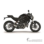Ducati MONSTER 797 2017 - Gris oscuro