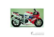 Aufkleber für Honda CBR900RR 1995 - Weiss • Honda OEM-Aufkleber