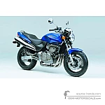 Honda CB600F HORNET 2001 - Niebieski