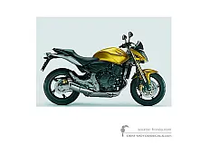Aufkleber für Honda CB600F HORNET 2008 - Gelb • Honda OEM-Aufkleber