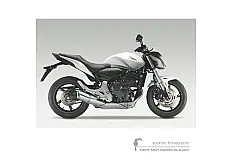 Decals for Honda CB600F HORNET 2011 - White • Honda OEM Decals