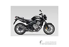 Pegatinas para Honda CBF600N 2008 - Negro • Honda Pegatinas OEM