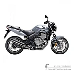 Honda CBF600N 2009 - Silver